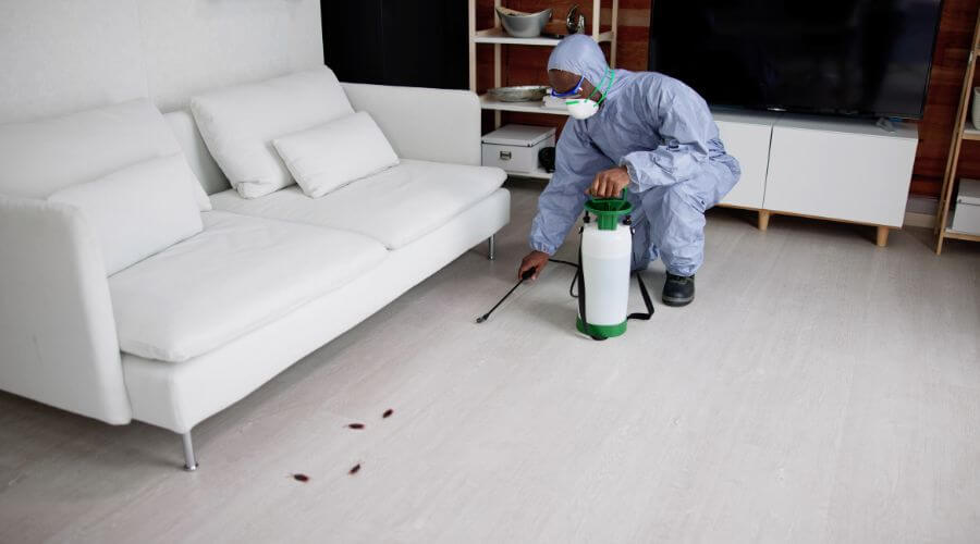 Why choose Monthly Mosquito Treatment Plans Fountain Hills for monthly mosquito treatment plans in Fountain Hills